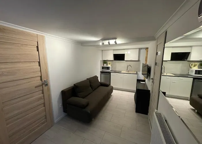 American Dream Apartment Bydgoszcz fotoğrafı